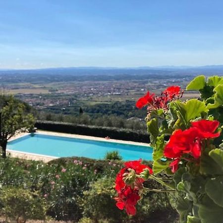 Agriturismo Cima Alla Serra Buti Екстериор снимка