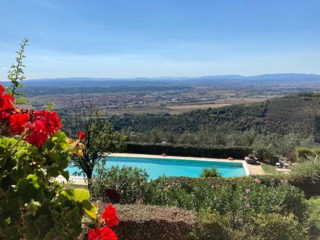 Agriturismo Cima Alla Serra Buti Екстериор снимка