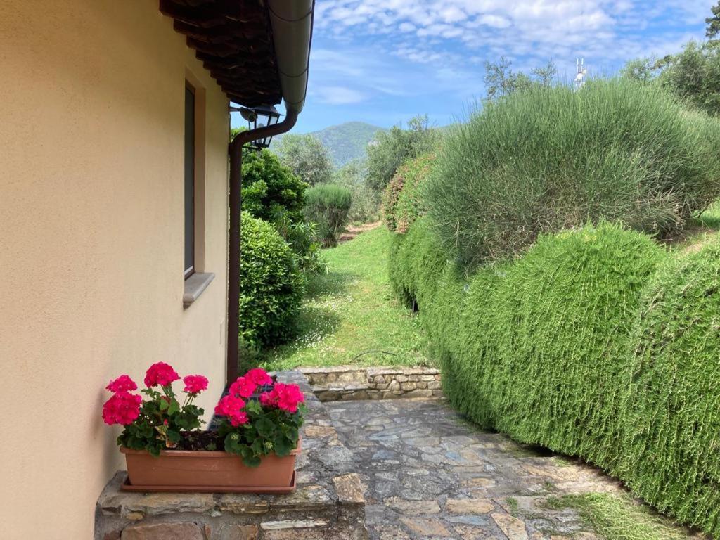 Agriturismo Cima Alla Serra Buti Екстериор снимка