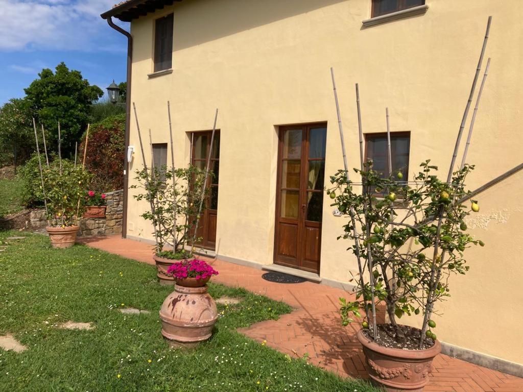 Agriturismo Cima Alla Serra Buti Екстериор снимка